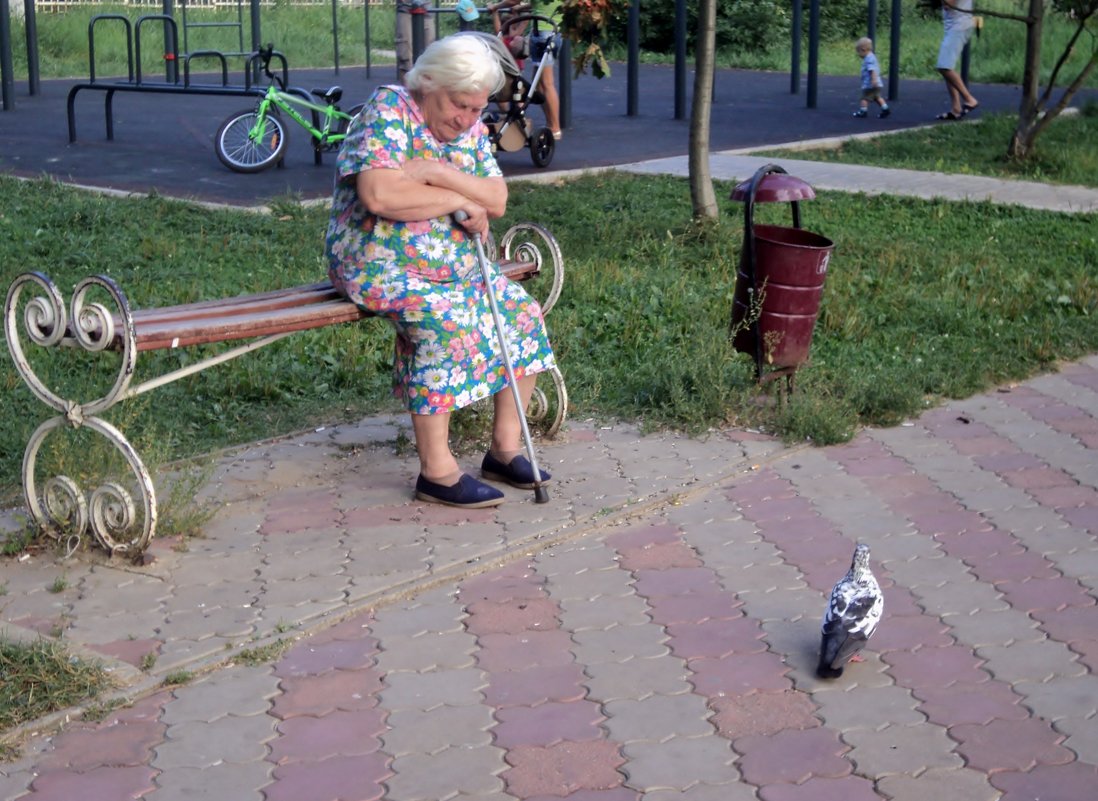 Бабушка и голубь. - Ольга Кривых