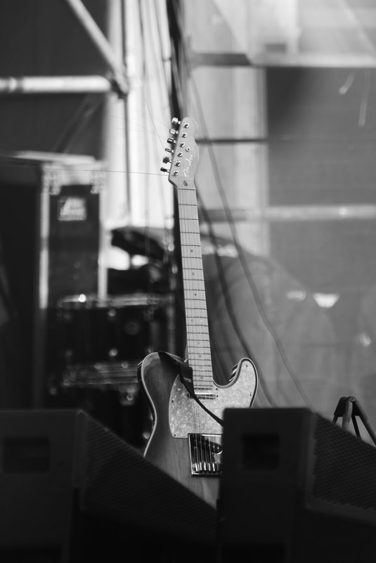 Fender Telecaster - Александр Сидоров