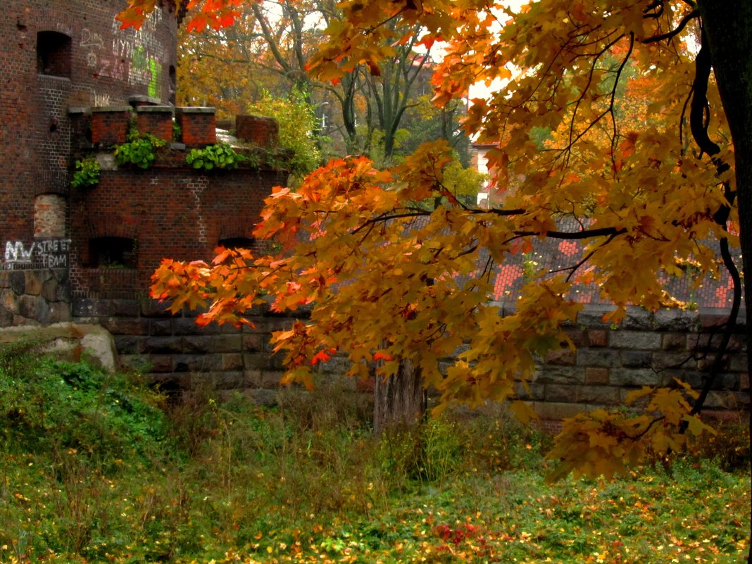 Осень у старой башни - Сергей Карачин