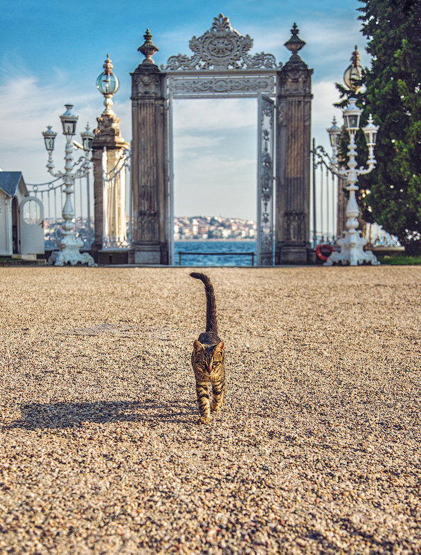 Ворота дворца Долмабахче с видом на Босфор - Ирина Лепнёва