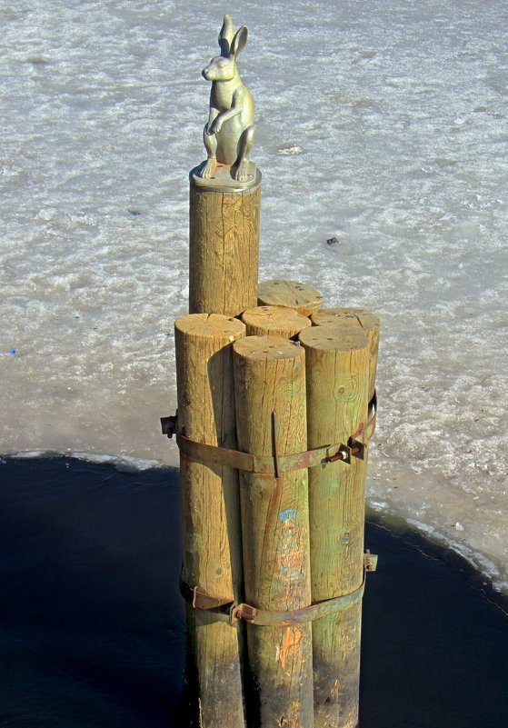 Памятник зайцу на Заячьем острове - Сергей Карачин