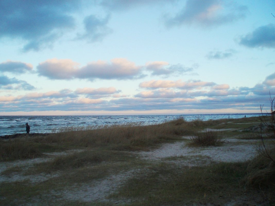 Baltijos vėjas 1 / Baltic wind 1. Riga gulf - silvestras gaiziunas gaiziunas