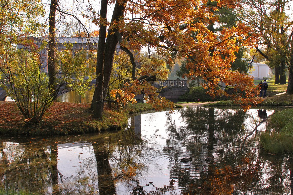Осенняя картина. Парк в Царском селе - Наталья 