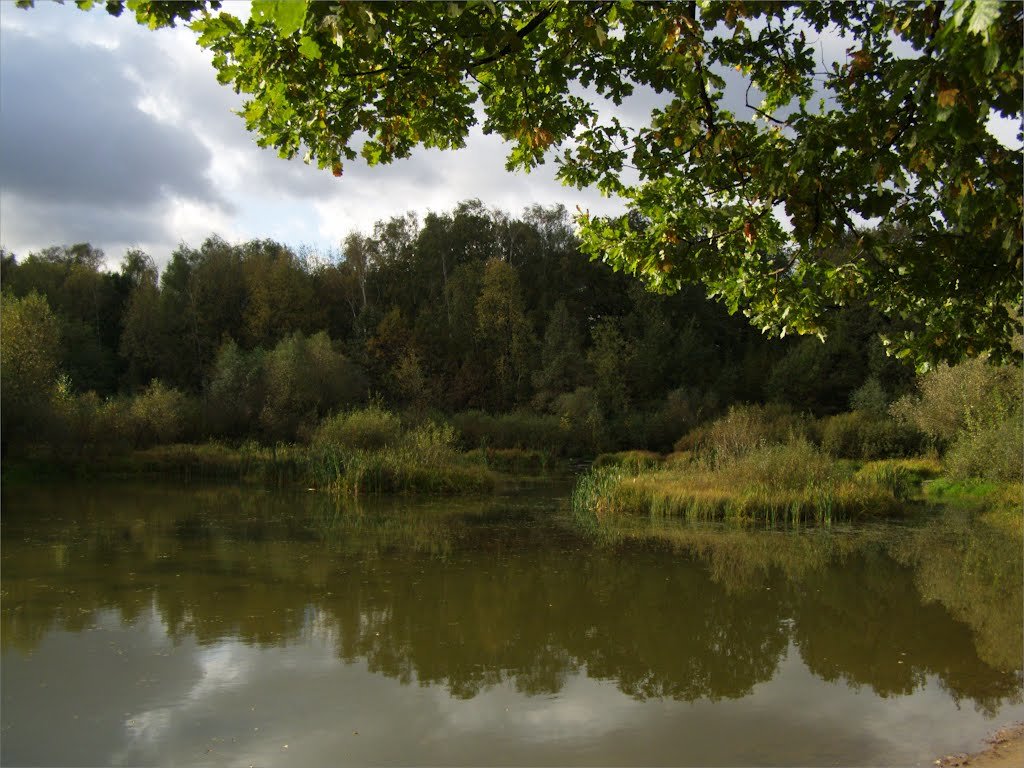 осенняя "зарисовка" - Анна Воробьева