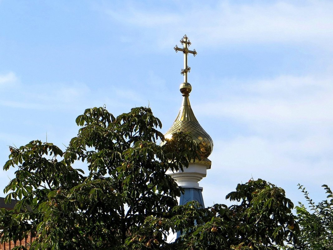 Сияют золотые купола, венчая храмов возвеличенные лики - Татьяна Смоляниченко