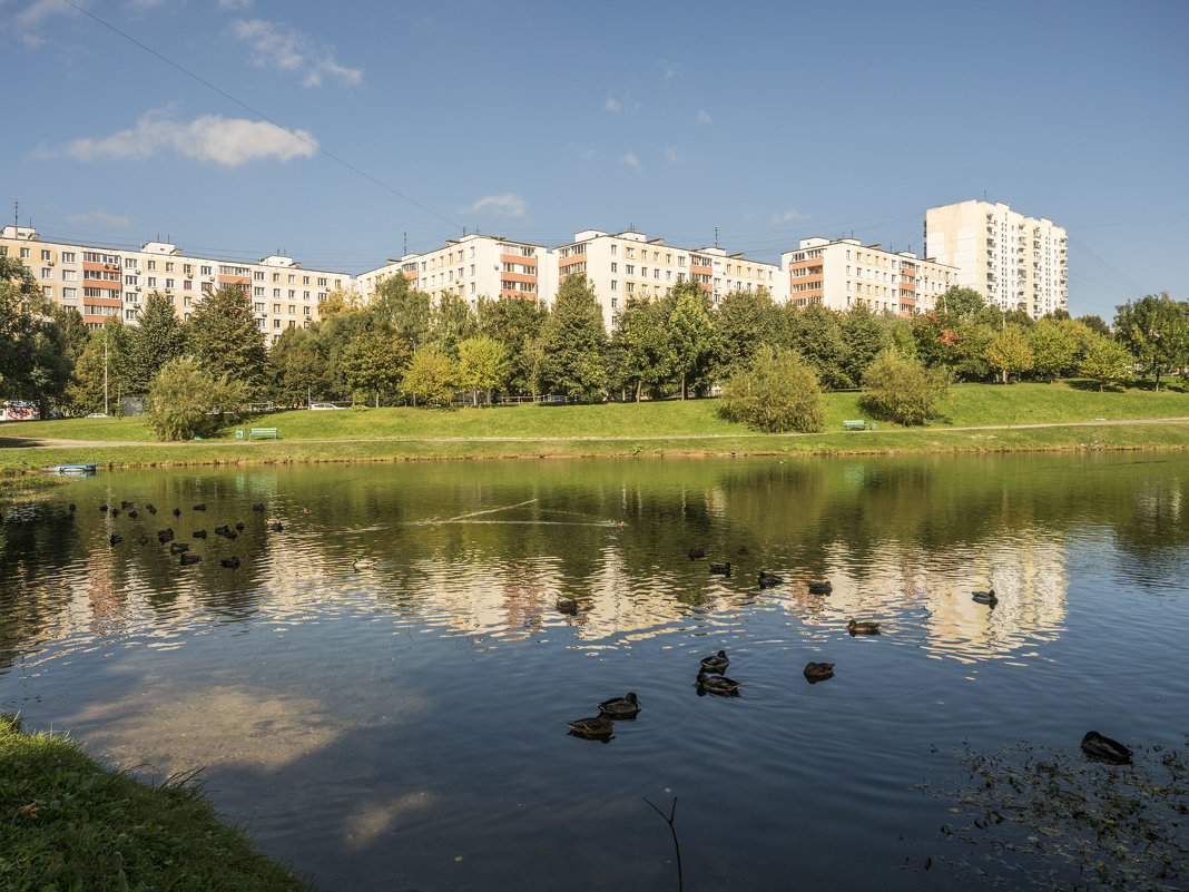 Наше Ясенево - Лариса Батурова