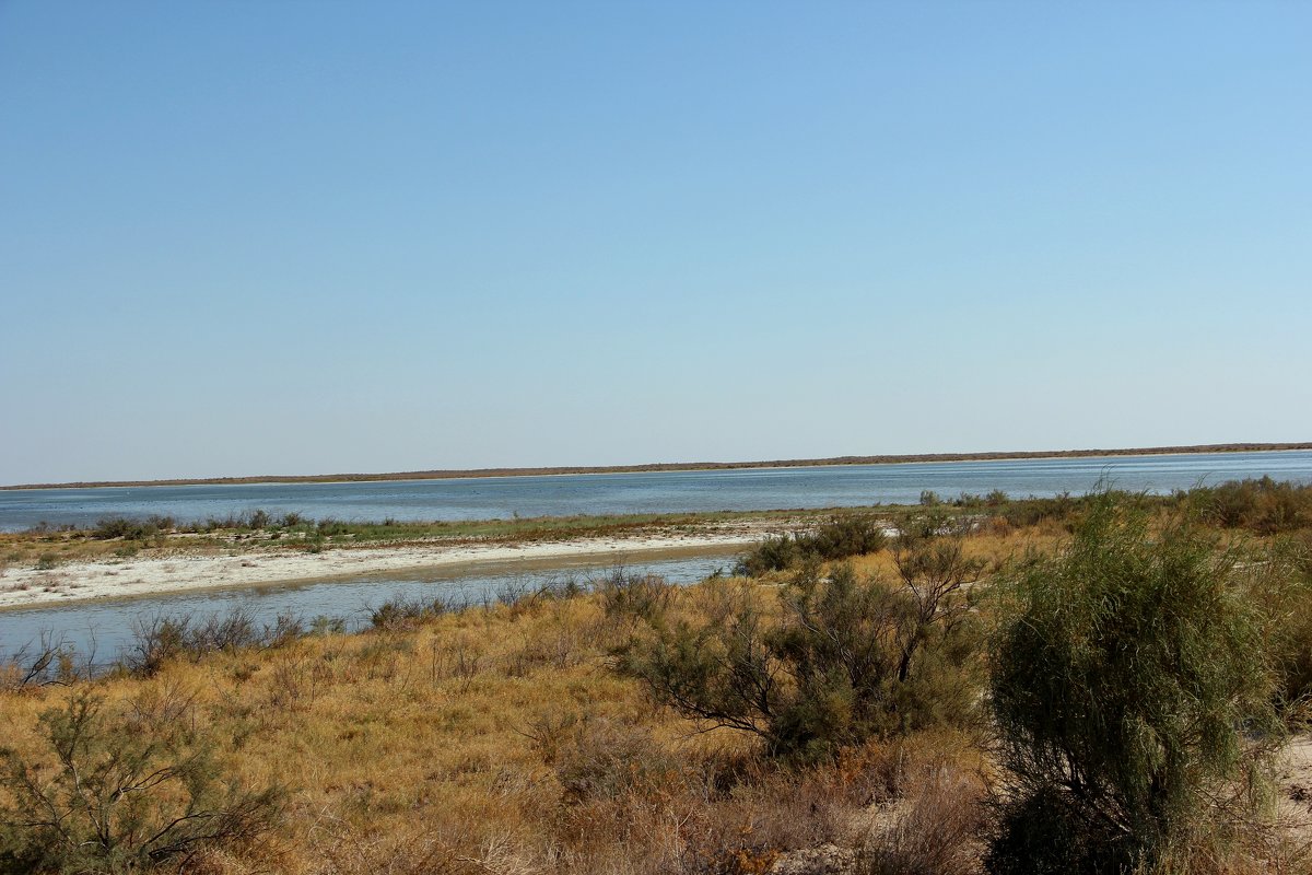 Река Чу, пустыня Бетпак-Дала - Алла 