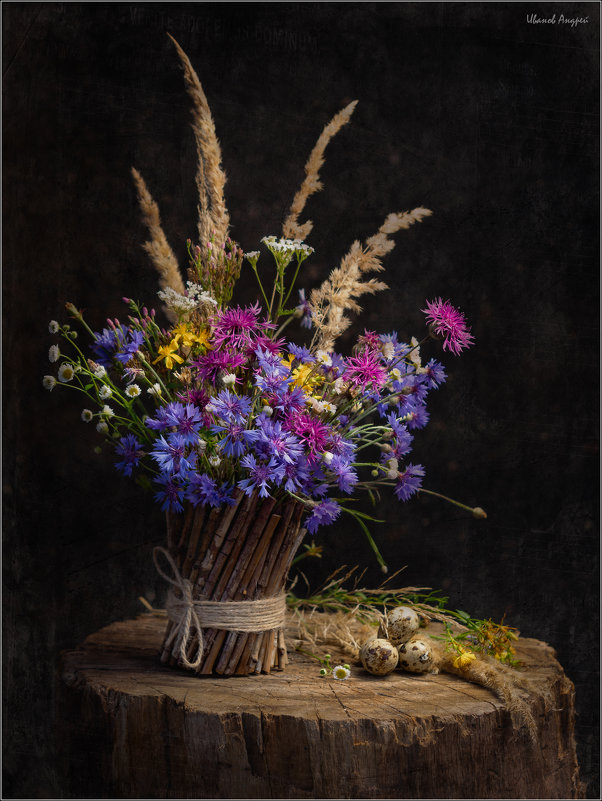 Цветы осени - Андрей Иванов