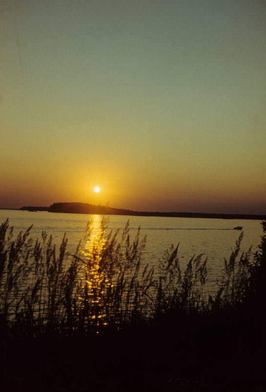 1974 год. Дубна. Иваньковское водохранилище. - Игорь Смолин