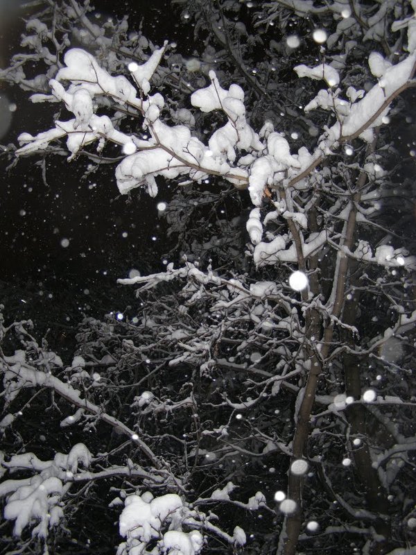снегопад - Анна Воробьева