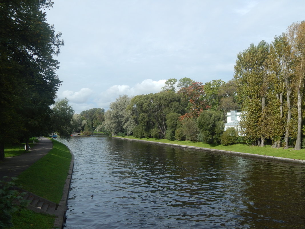 Санкт-Петербург. Каменный остров. Река Крестовка. - Лариса (Phinikia) Двойникова