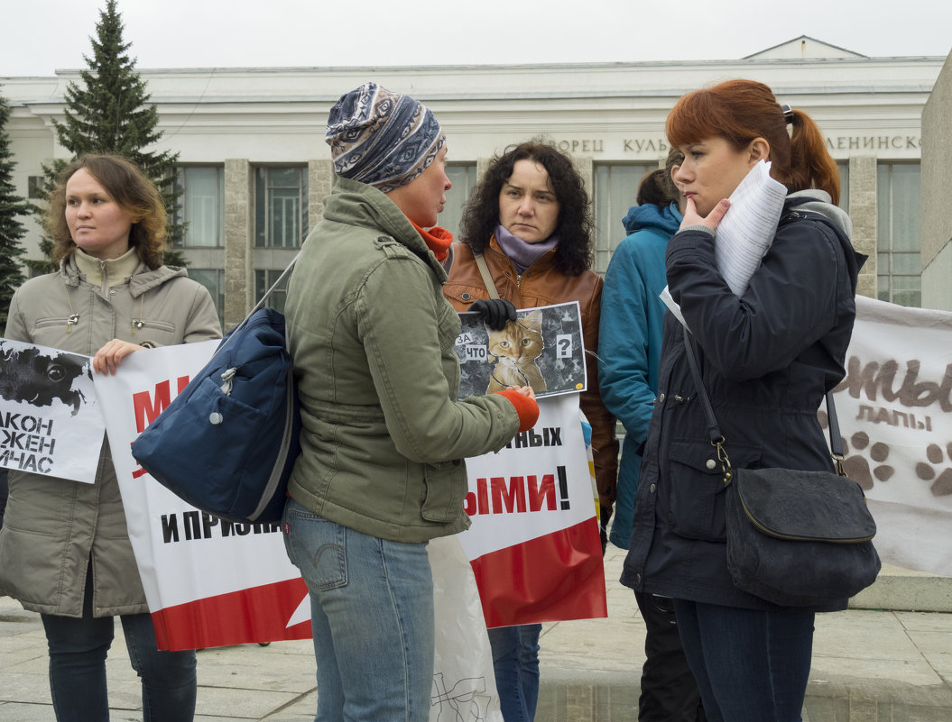 Северодвинск. Митинг в защиту животных (2) - Владимир Шибинский