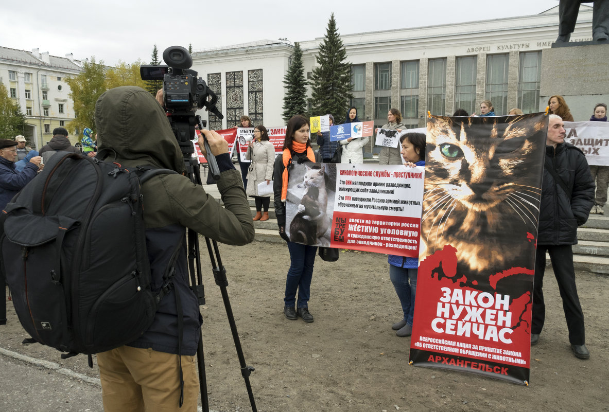 Северодвинск. Митинг в защиту животных (5) - Владимир Шибинский