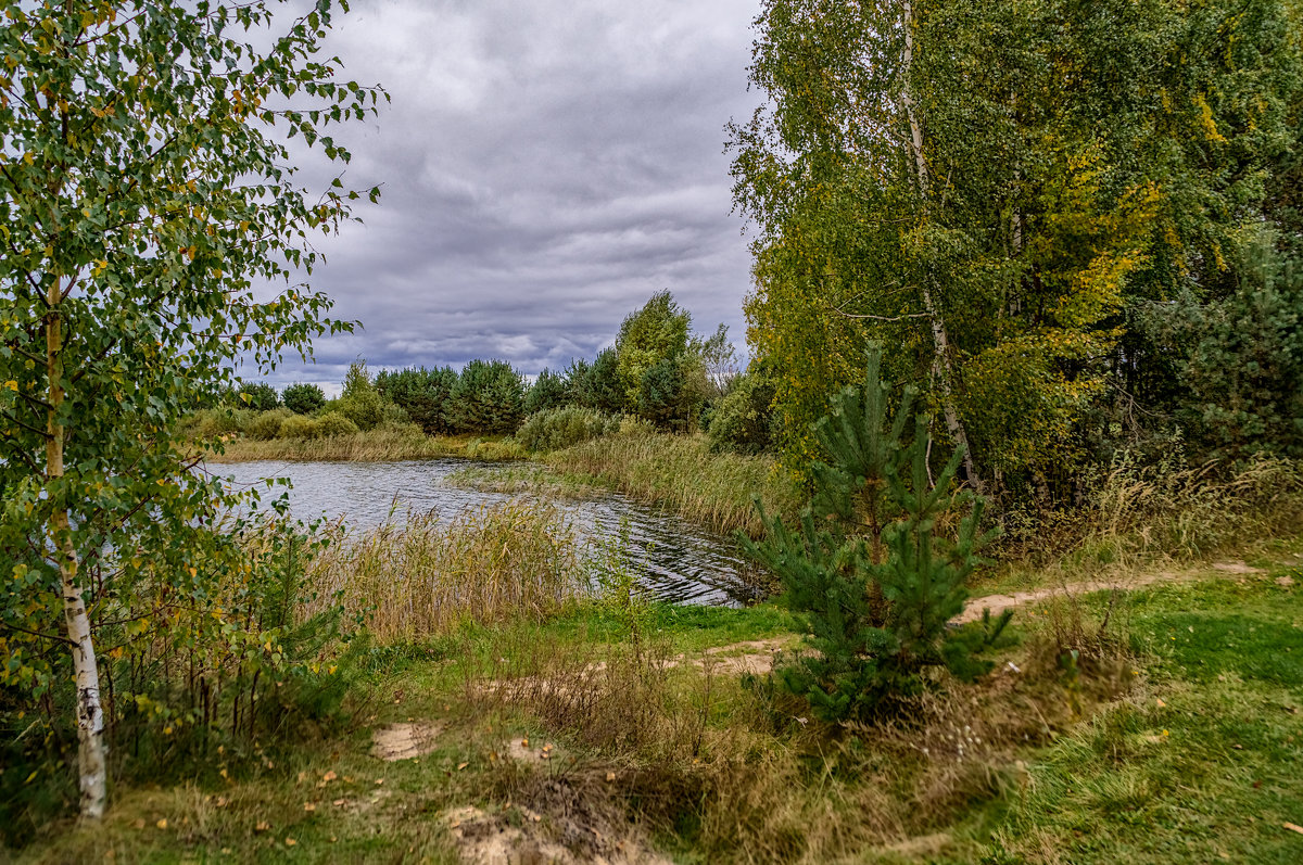 Осеннее озеро - Андрей Дворников