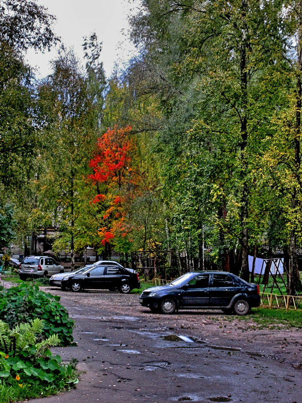 Осенний дворик. - Sergey Serebrykov