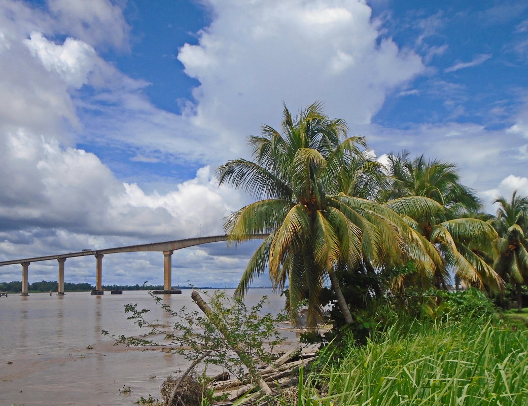 Мост на реке Суринам - Андрей K.