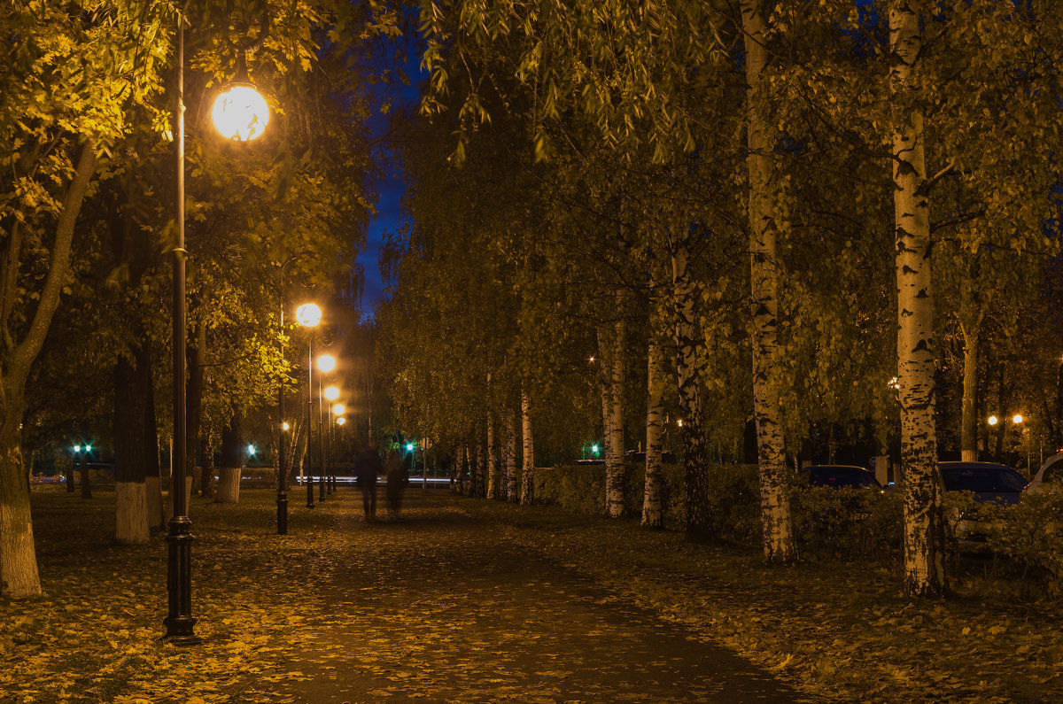 Осень в городе, октябрь - Владимир Максимов