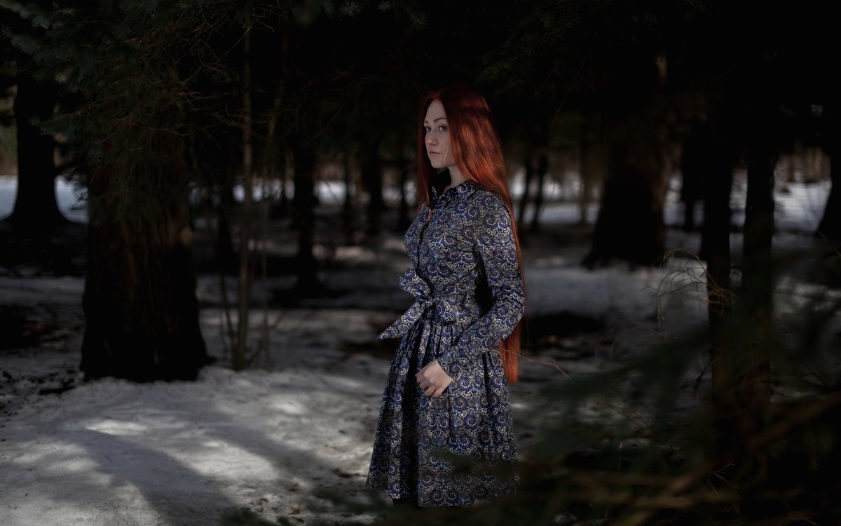 зимний лес - Андрей Фролов
