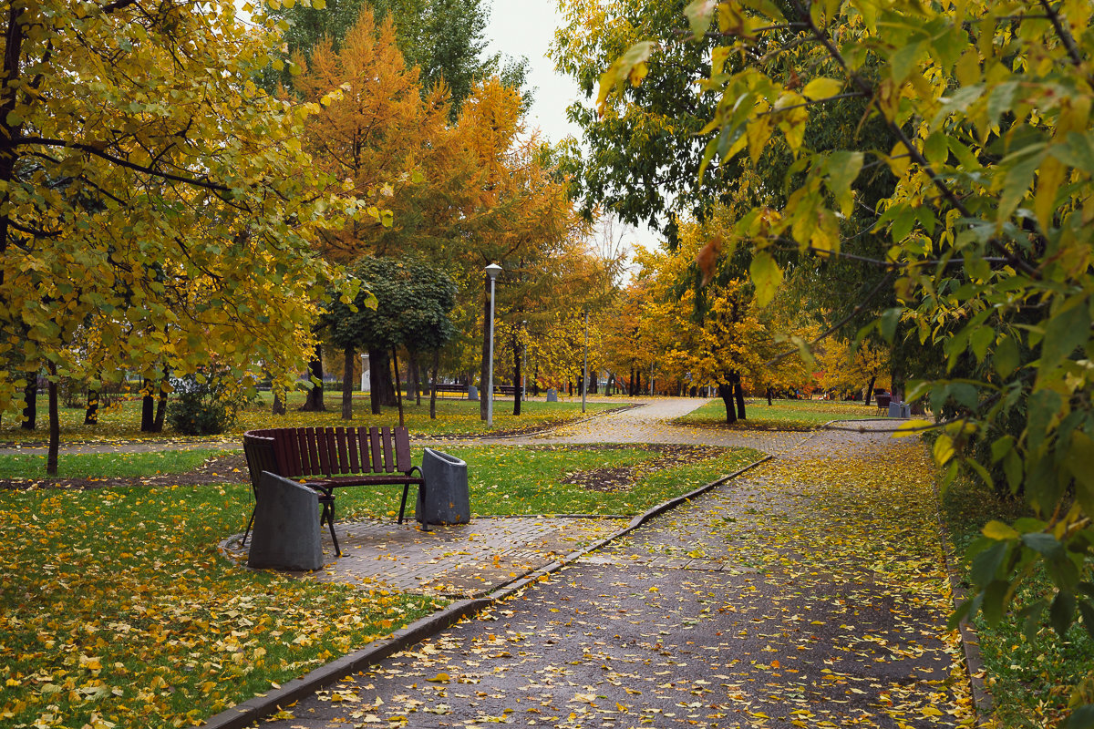 Осень... - Viktor Nogovitsin
