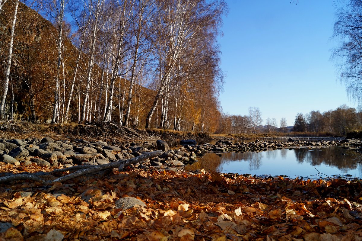 Чарышские пейзажи. Осень - Кристина Воробьева