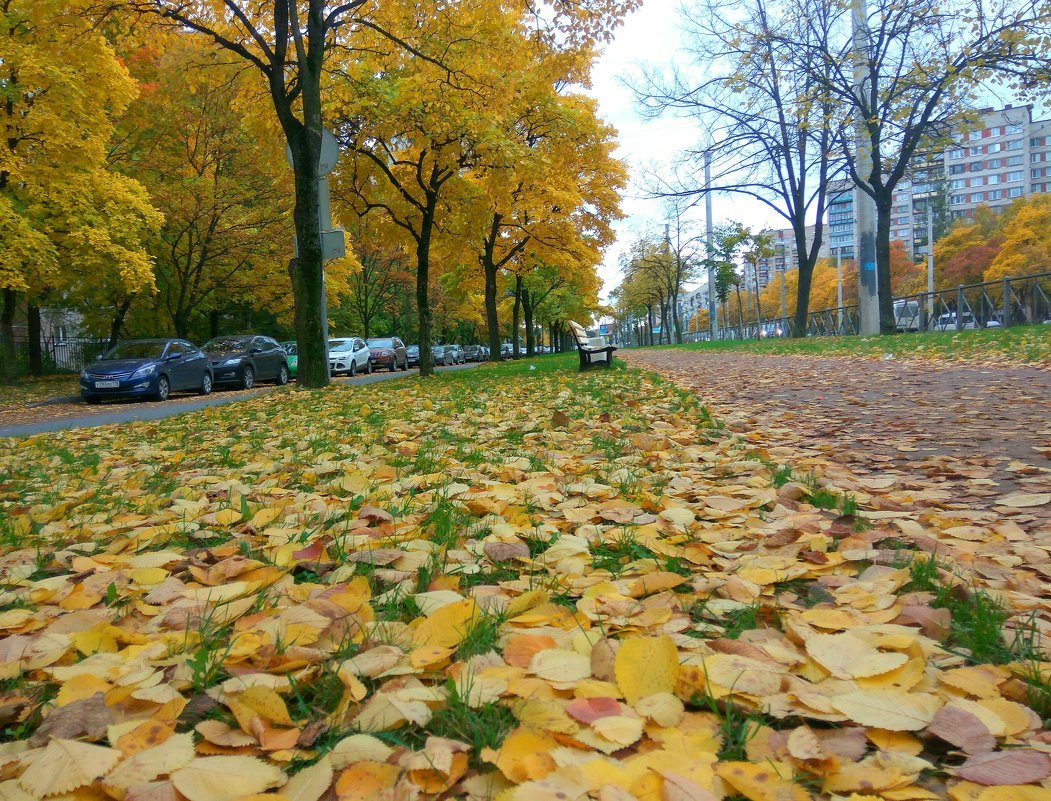 Золотая осень в Санкт-Петербурге - Рашид 