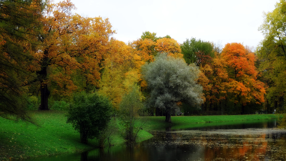 Осень в парке - Наталия Короткова