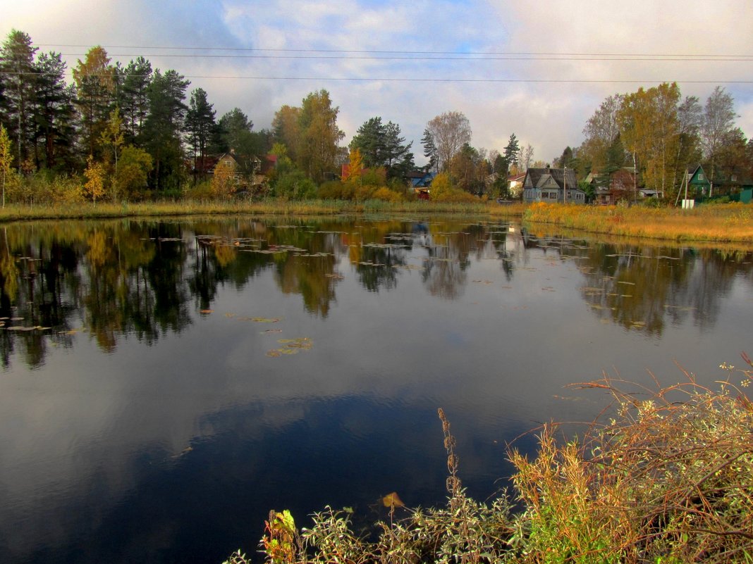 Озеро Вероярви :: Сергей Карачин – Социальная сеть ФотоКто