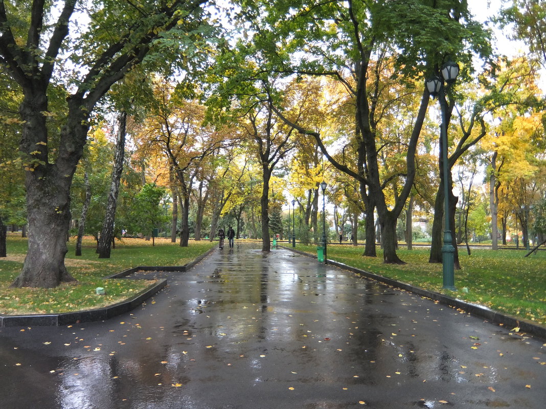 После дождя - Наталья Тимошенко