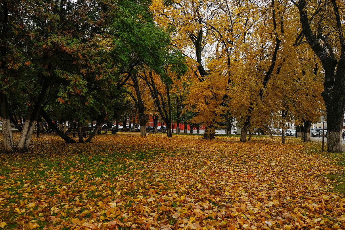 Осень в городе - Виктор 