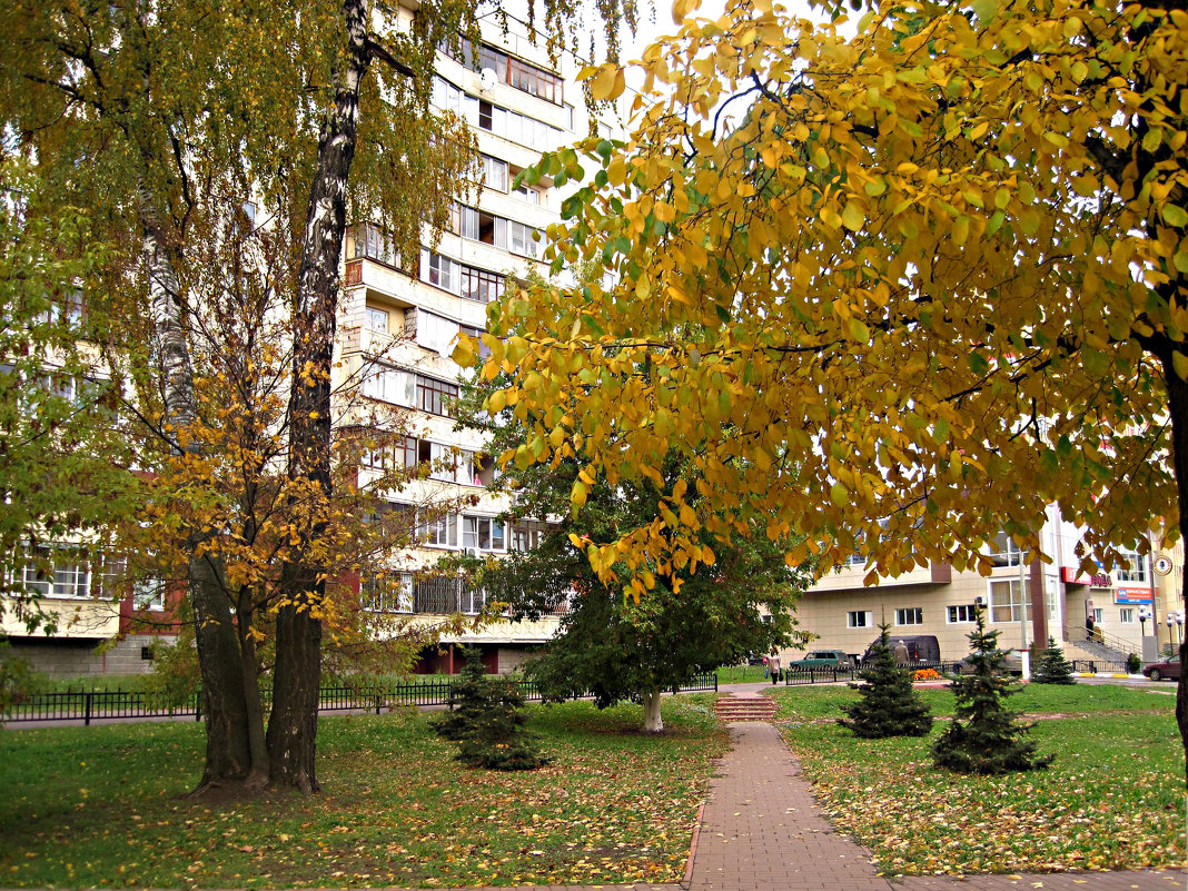 Осенью в городе - Елена Семигина