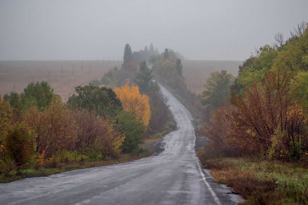 /// - Cлава Украине 