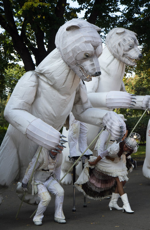 Белые медведи в Москве - Елена Жукова