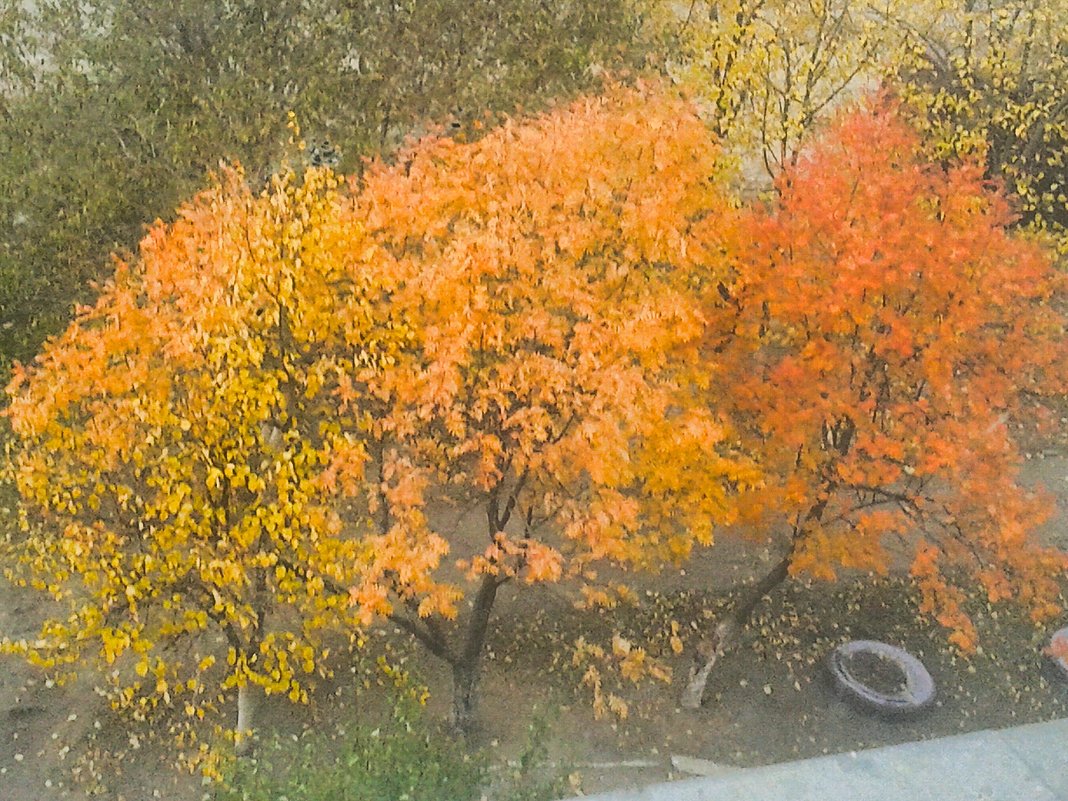 Осень золотая - Юлия Закопайло