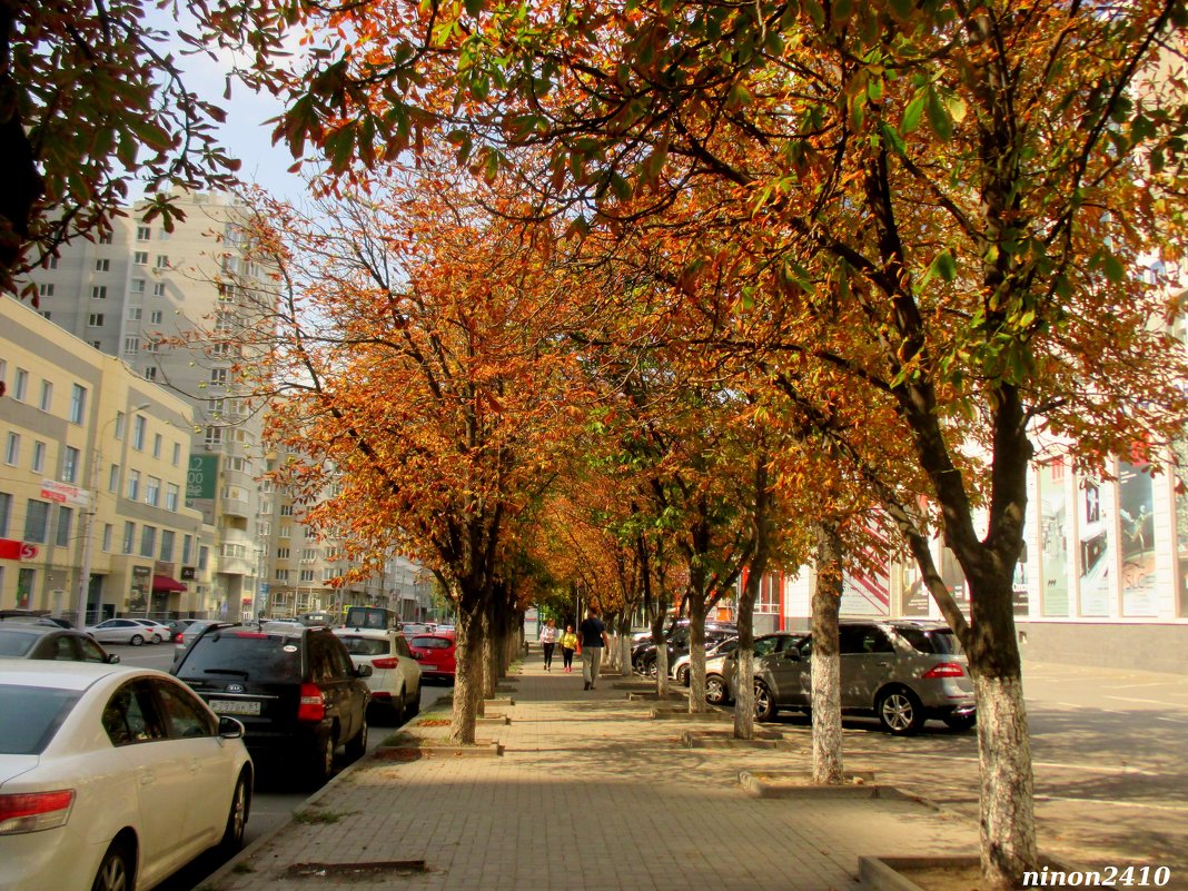 Ростовская осень - Нина Бутко