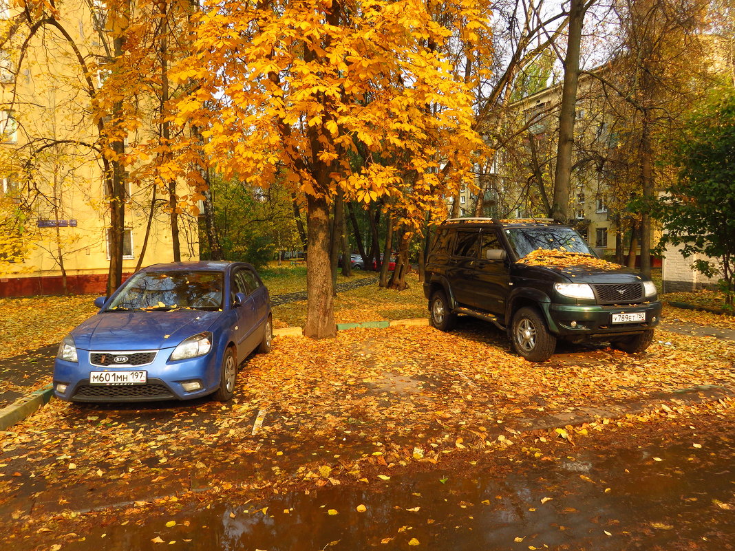 Осень не первоначальная в городе - Андрей Лукьянов