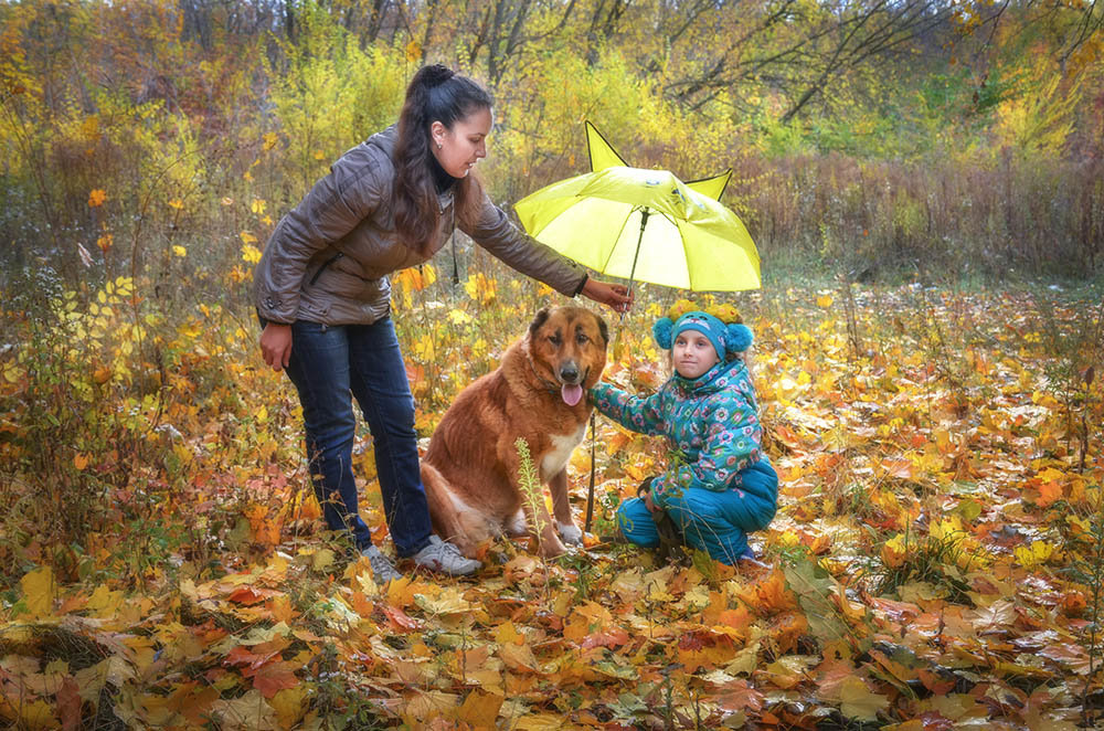 Кажется,  дождь начинается... - Лидия Цапко