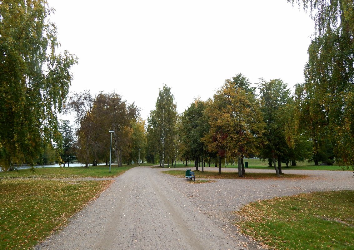 Страна Suomi. Иматра. - Лариса (Phinikia) Двойникова