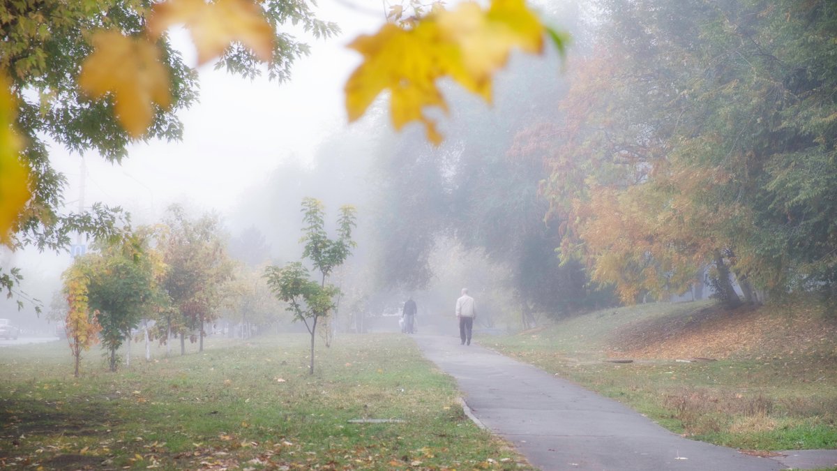 Туманное утро в Ростове осенью