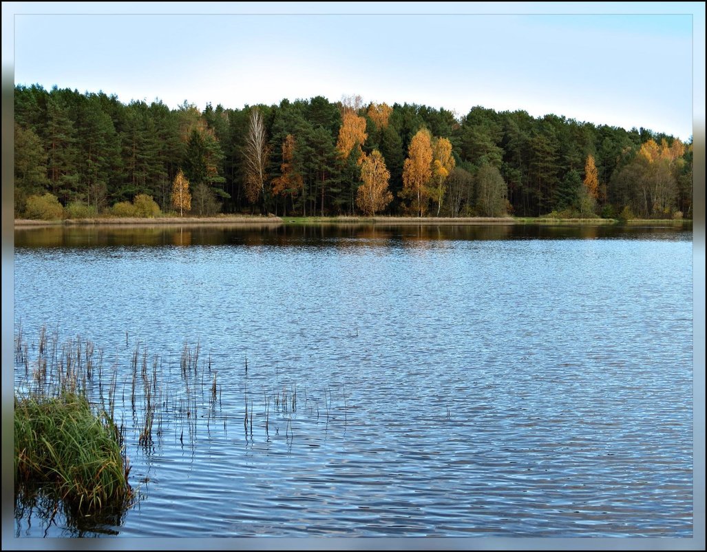 Озеро Удранка - Михаил Цегалко