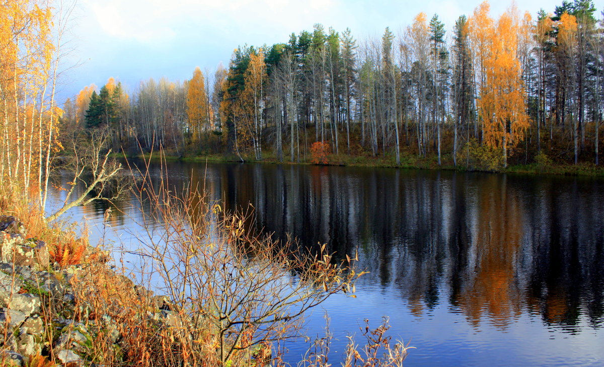 Осень в Карелии - Николай Гренков