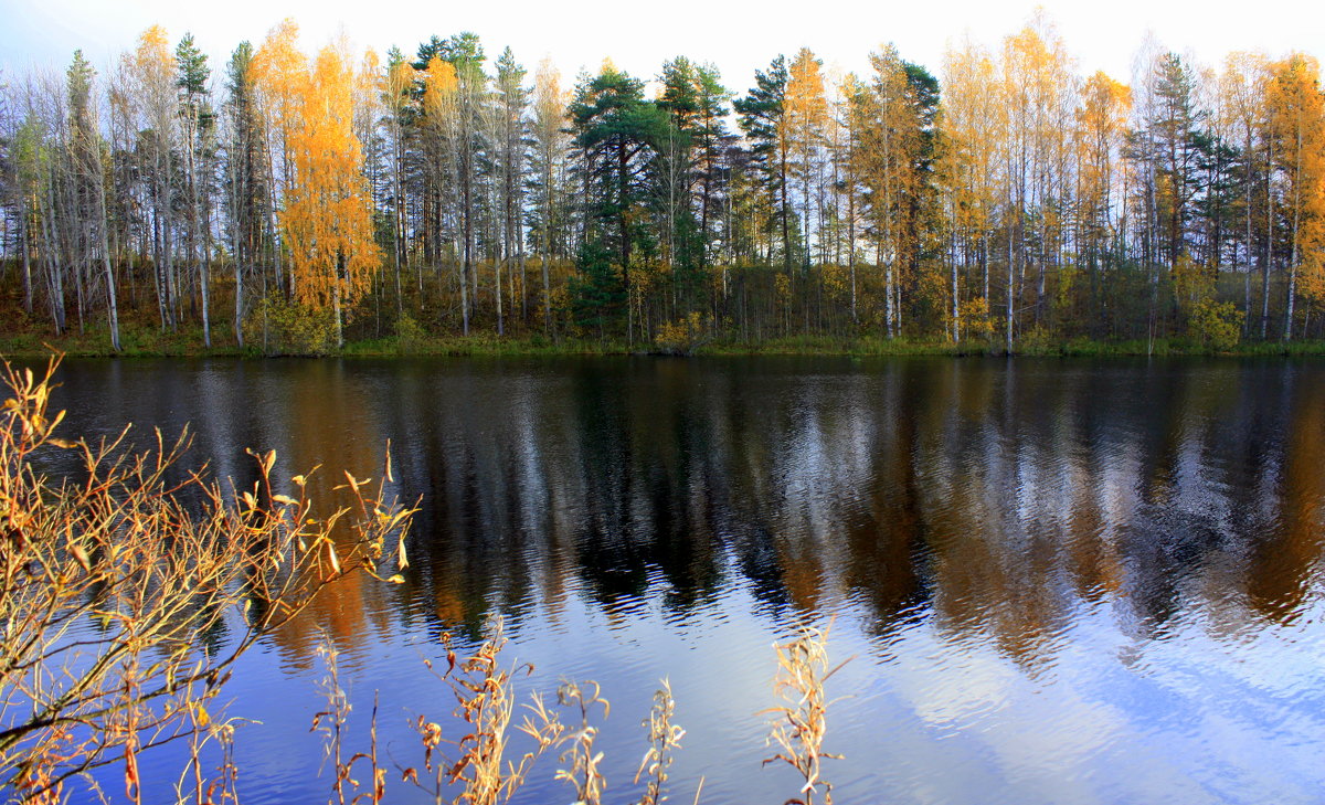 Осень в Карелии - Николай Гренков