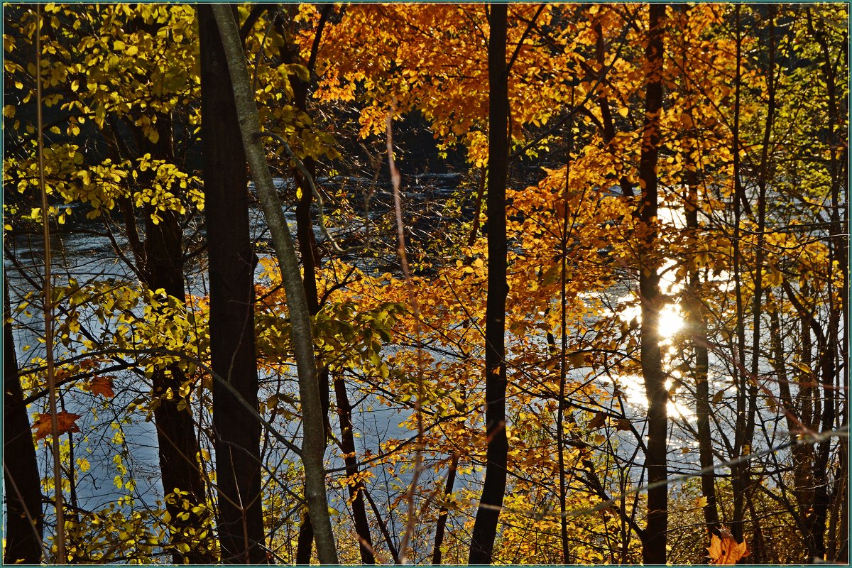 Осень, солнце, река... - Vladimir Semenchukov