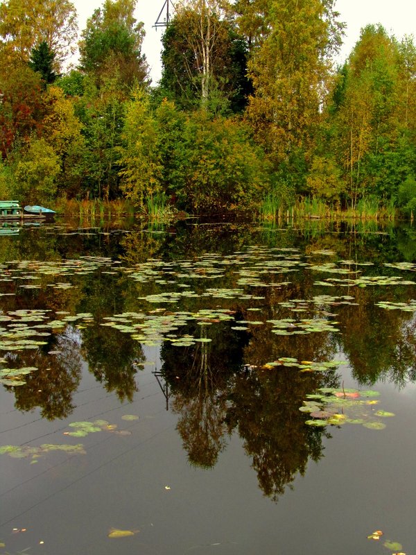 Озеро - Сергей Карачин
