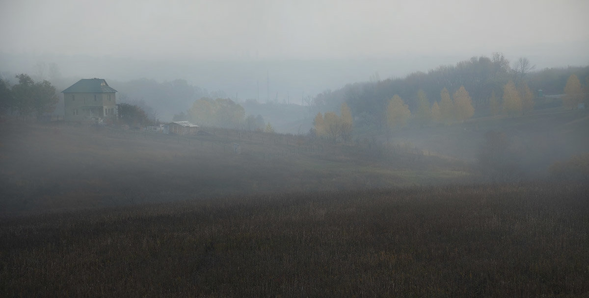 Осенний туман - Лидия Цапко