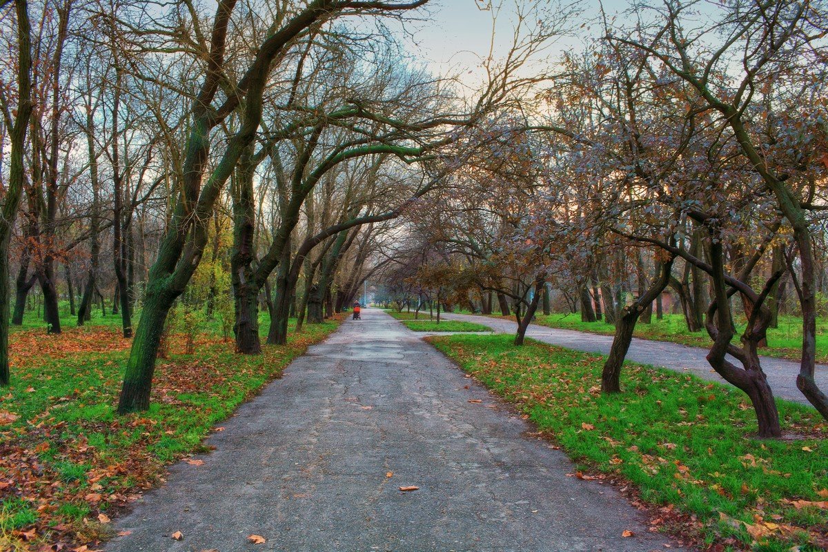 Осень в парке. - Вахтанг Хантадзе