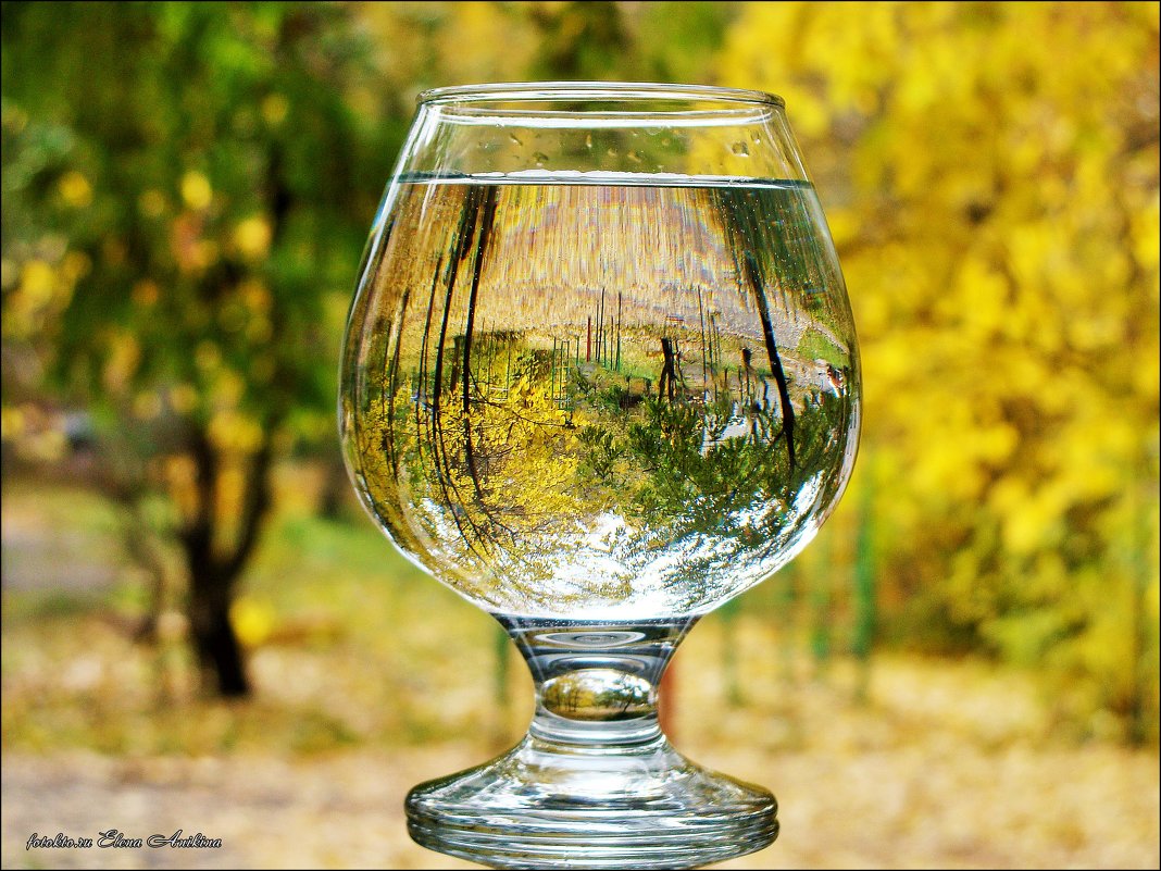 Прозрачной Осени вино - °•●Елена●•° ♀