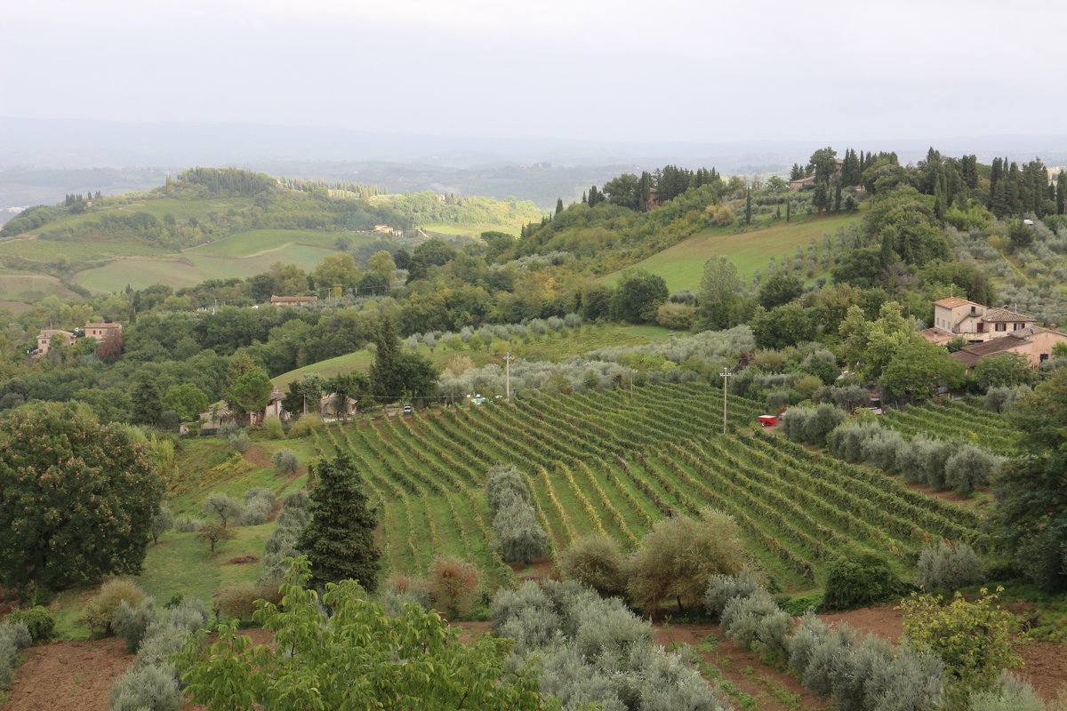 Тосканский пейзаж - svetlana.voskresenskaia 