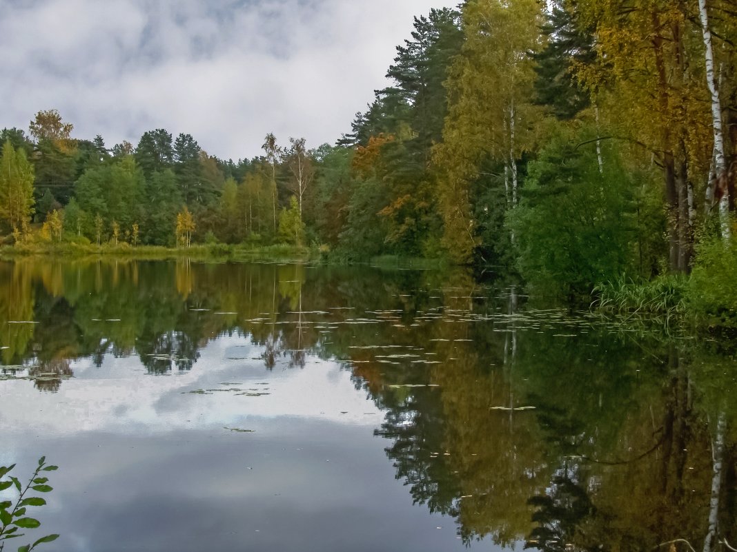 Осень на озере Вероярве - Сергей Карачин