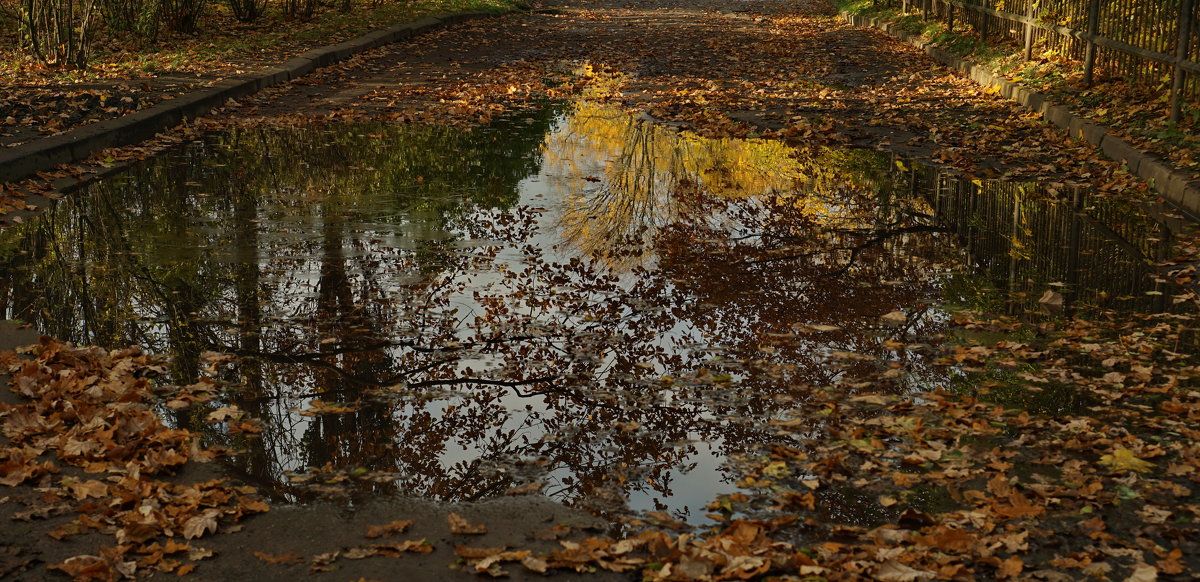 Осенний лист уже в воде - Владимир Гилясев