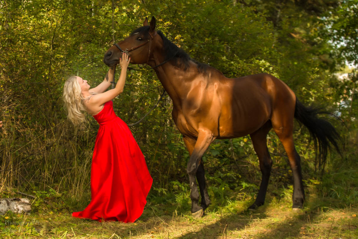 Фотосессия на лошади - Ольга Петруша